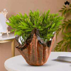 Meesho Ceramic Vases