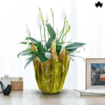 Wooden Pot Plants