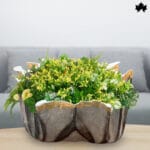 Monarch Noir Resin Planter