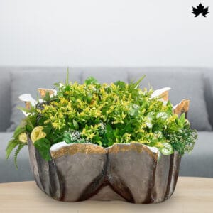 Monarch Noir Resin Planter